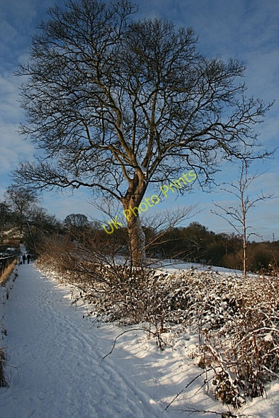 Photo 6"x4" Corstorphine Hill Murrayfield\/NT2173 c2010