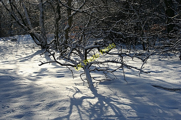 Photo 6"x4" Corstorphine Hill Murrayfield\/NT2173 c2010