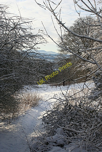 Photo 6"x4" On Corstorphine Hill Murrayfield\/NT2173 c2010