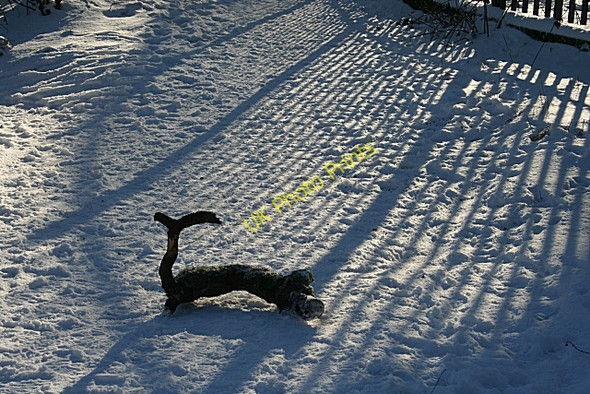 Photo 6"x4" Outside the Zoo Murrayfield\/NT2173 c2010