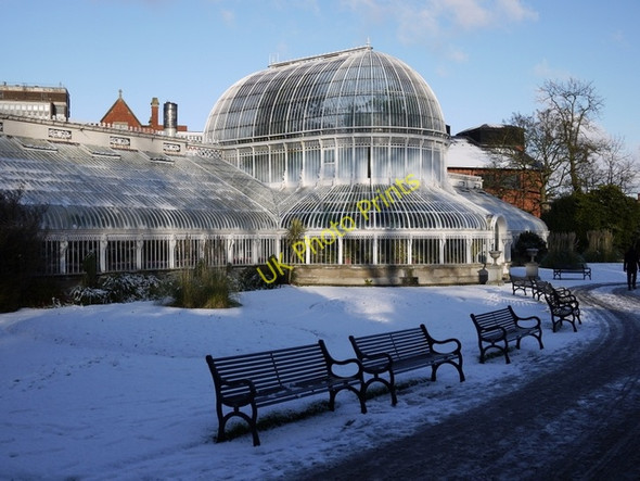 Photo 6"x4" Snow at the Palm House, Botanic Gardens Belfast c2010
