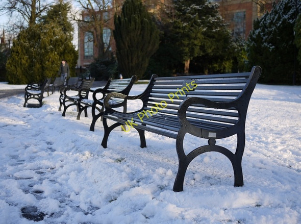 Photo 6"x4" Benches in the snow, Botanic Gardens Belfast c2010