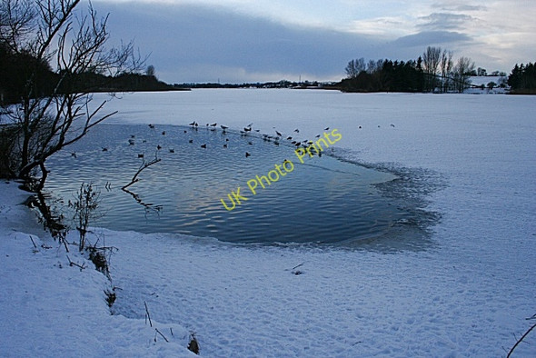 Photo 6"x4" Forfar Loch Forfar c2010