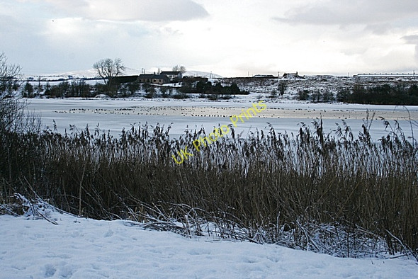 Photo 6"x4" Forfar Loch Forfar c2010 P2
