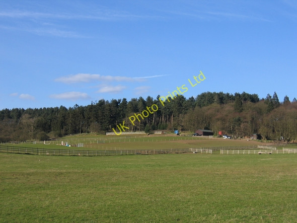 Photo 6"x4" Riding stables at Bordesley Hall Rowney Green c2006
