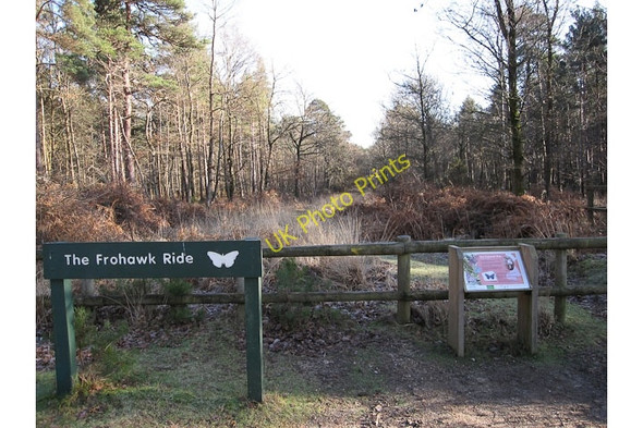 Photo 6"x4" Frohawk Ride Balmerlawn c2010