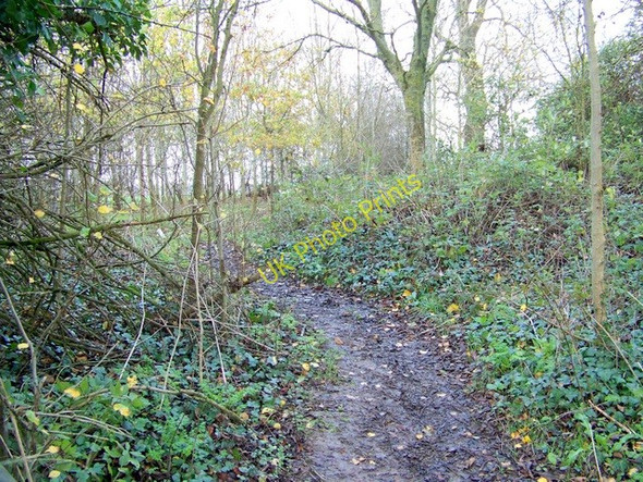 Photo 6"x4" Footpath near Westwood Lye Green\/ST8159 c2009