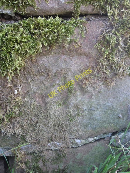 Photo 6"x4" Weathered bench mark at Aldford Aldford c2009