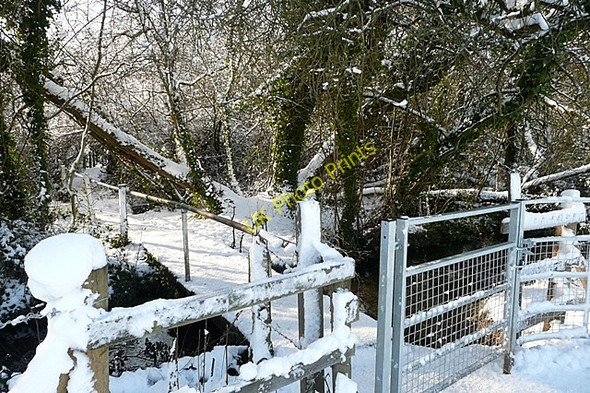 Photo 6"x4" Footpath to Sherborne St John Sherborne St John c2010
