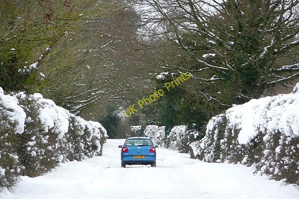Photo 6"x4" Road to Stratfield Saye Stratfield Saye c2010
