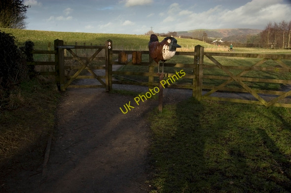 Photo 6"x4" Millennium Way Footpath, Garstang Garstang c2010