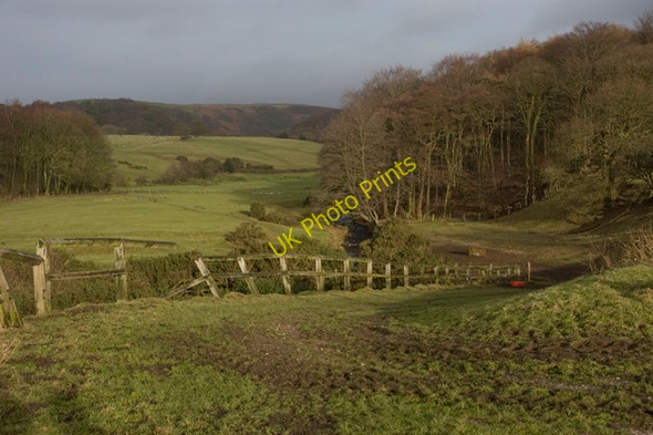 Photo 6"x4" Valley of the Grizedale Brook Cabus c2010