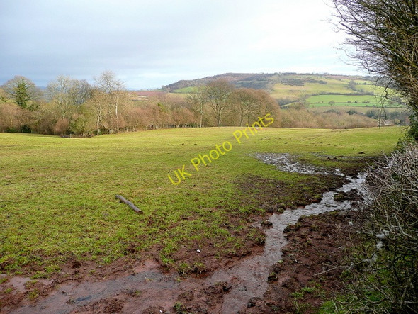 Photo 6"x4" Pasture land above The Bage Newton\/SO2943 c2010