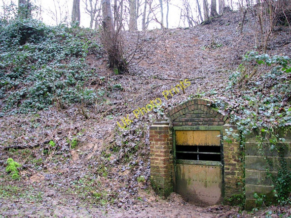 Photo 6"x4" A woodland walk in Whitlingham Country Park - disused lime kiln Postwick c2010