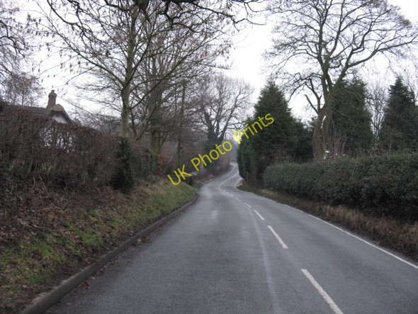 Photo 6"x4" Comberbach - Budworth Lane Comberbach c2010