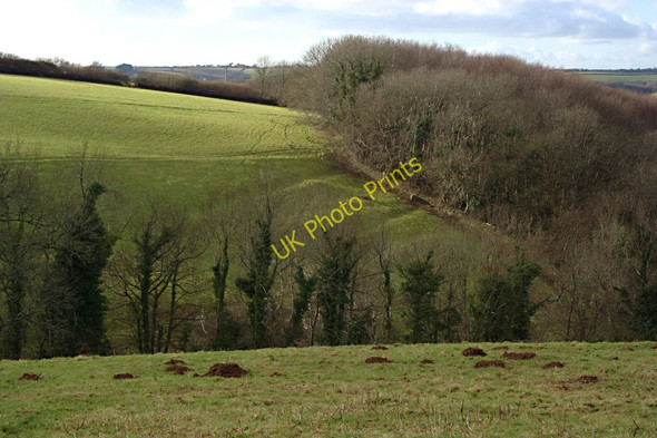 Photo 6"x4" Valley, Pasture and Woodland Kingston\/SX6347 c2010