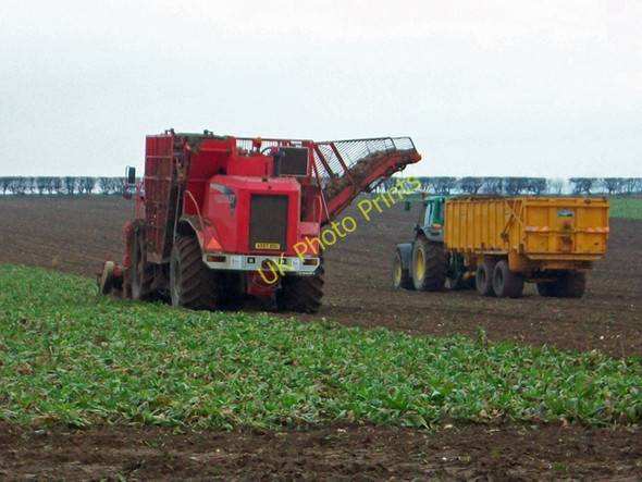 Photo 6"x4" Beet Harvesting on Horkstow Wolds Horkstow Wolds c2009