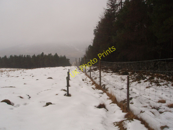 Photo 6"x4" Deer fence heads for the mist of Glen Prosen Dykehead\/NO3860 c2010