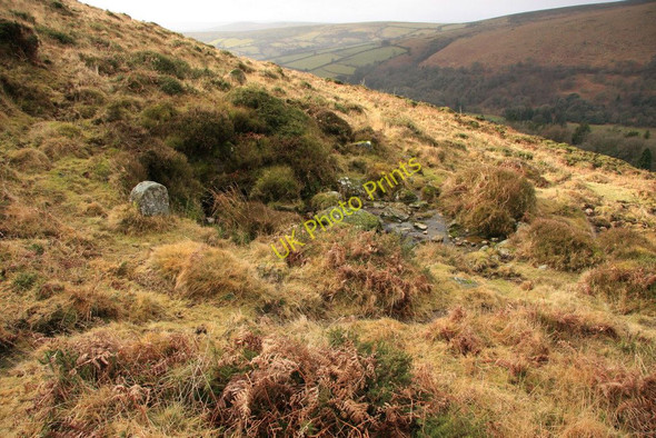 Photo 6"x4" Slades Well Bonehill\/SX7277 c2010