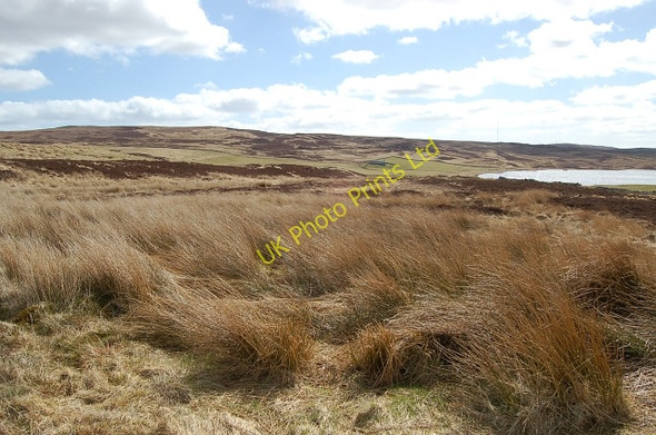 Photo 6"x4" By Achkinloch Loch Stemster c2006