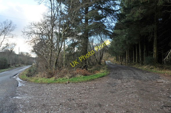 Photo 6"x4" Access road into private forestry Inverneill c2010