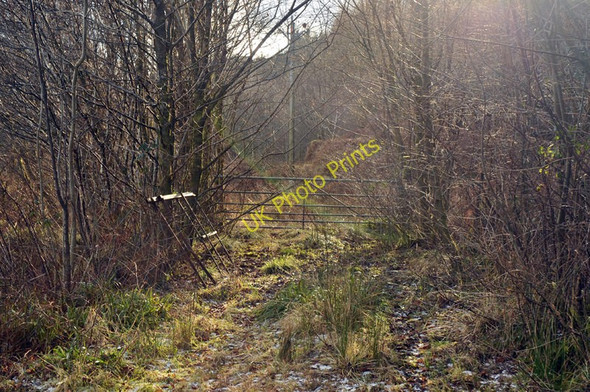 Photo 6"x4" Old access track Ardrishaig c2010