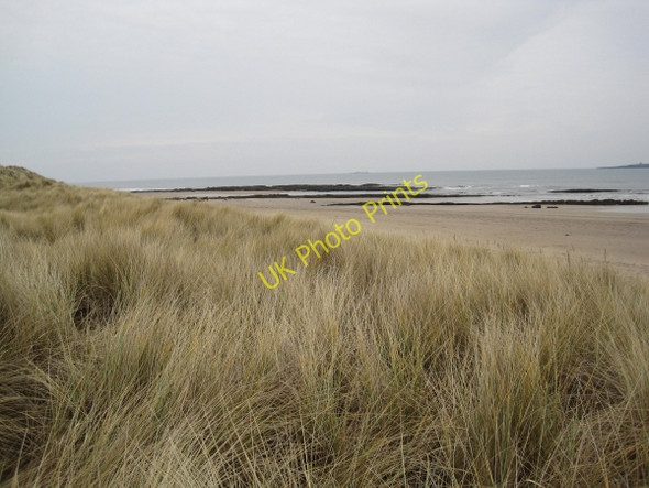 Photo 6"x4" St Aidan's Dunes and Beach Seahouses c2010