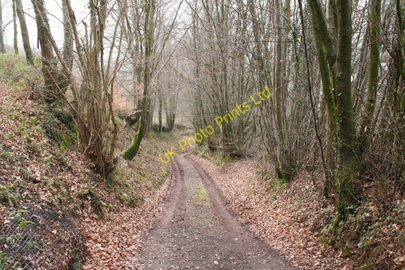 Photo 6"x4" Huish Champflower: footpath at Huish Cleeve Chipstable c2006