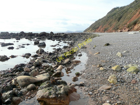 Photo 6"x4" Branscombe Ebb and Berry Cliff Branscombe c2010