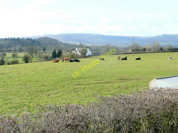 Photo 6"x4" Usk valley pasture Aberffrwd\/SO3509 c2010