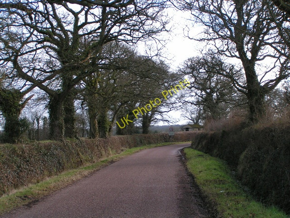 Photo 6"x4" The edge of Marsh Green Aylesbeare c2010