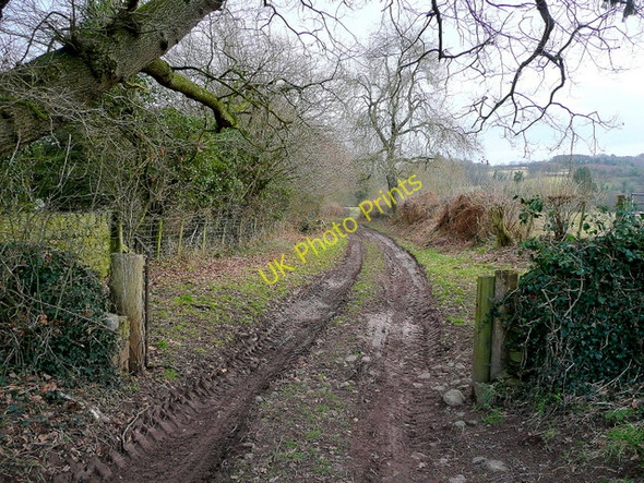 Photo 6"x4" A rutted farm track Aberffrwd\/SO3509 c2010