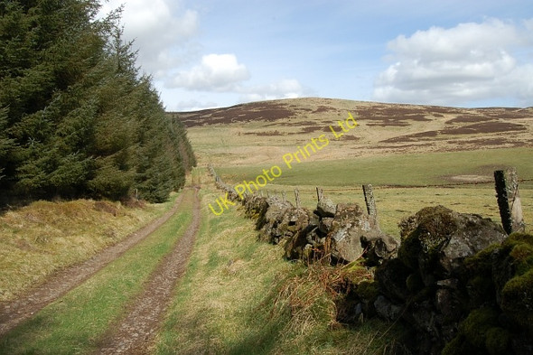 Photo 6"x4" Baulk Hill Path of Condie c2006