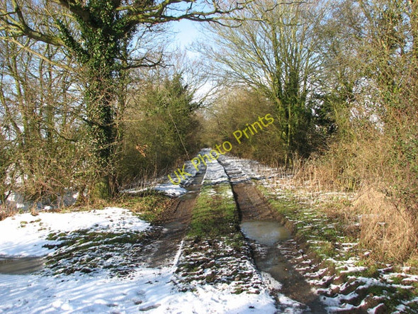 Photo 6"x4" View north along Green Lane Kirstead Green c2010