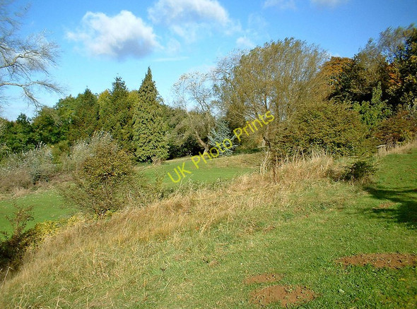Photo 6"x4" Trees at Coate Water Country Park, Swindon Coate\/SU1882 c2002