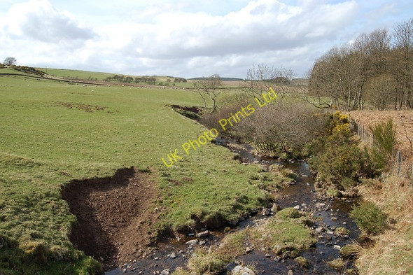Photo 6"x4" Slaterford Burn Path of Condie c2006