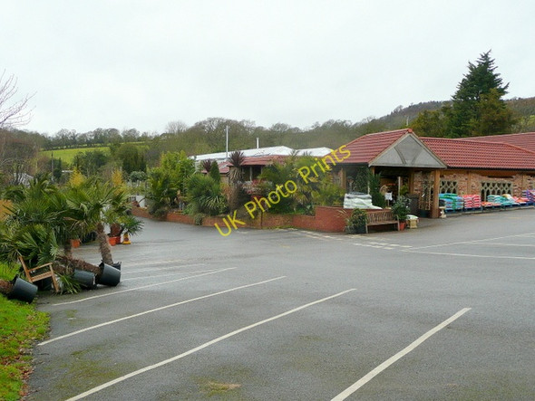 Photo 6"x4" Sidmouth Garden Centre Sidmouth c2010