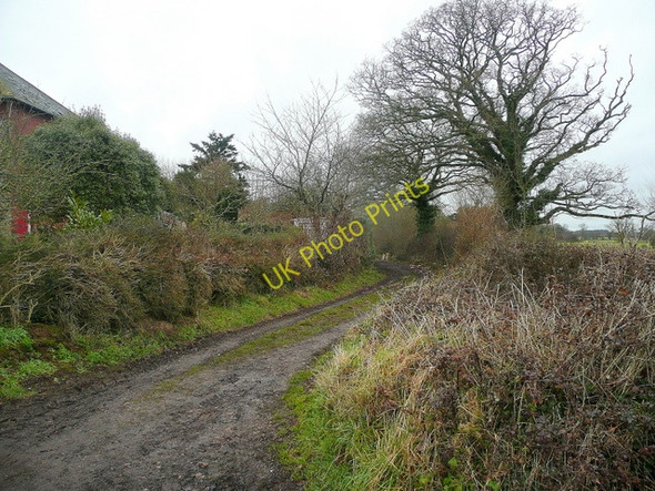 Photo 6"x4" Footpath north from Back Lane Harpford c2010