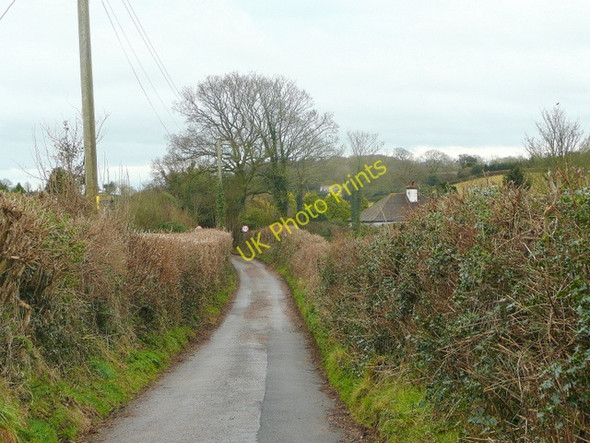 Photo 6"x4" Lane to Burrow Burrow\/SY0789 c2010