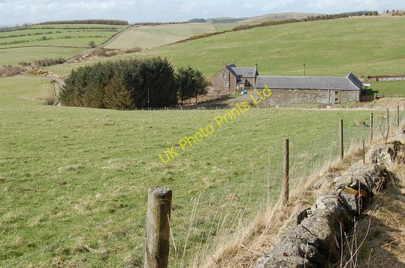 Photo 6"x4" Wester Deuglie Path of Condie c2006