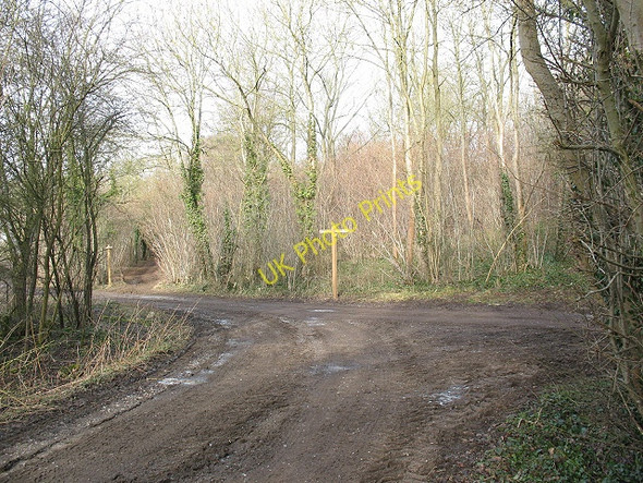 Photo 6"x4" Junction of tracks at the bottom of Sheep Walk Langley Vale c2010