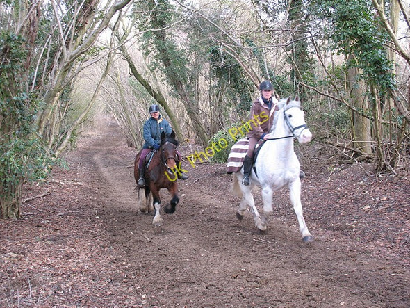 Photo 6"x4" Riding up Sheep Walk Langley Vale c2010