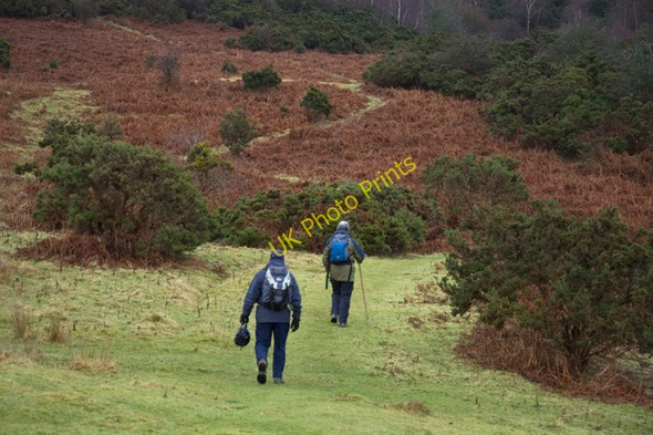 Photo 6"x4" Climbing to Lord's Lot Crosthwaite c2010