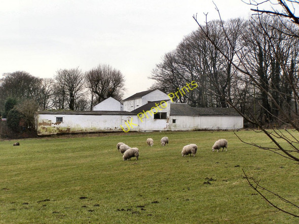 Photo 6"x4" Grange Farm Birch\/SD8507 c2010