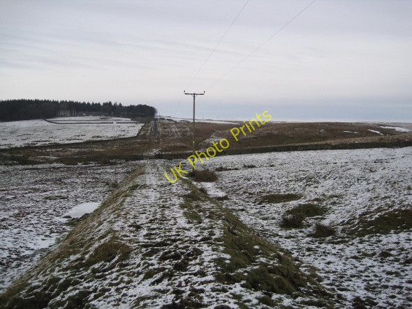 Photo 6"x4" Footpath near Hareshaw House Abbey Rigg c2010