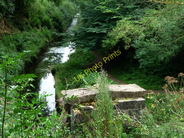 Photo 6"x4" Thames and Severn Canal Tarlton c2009