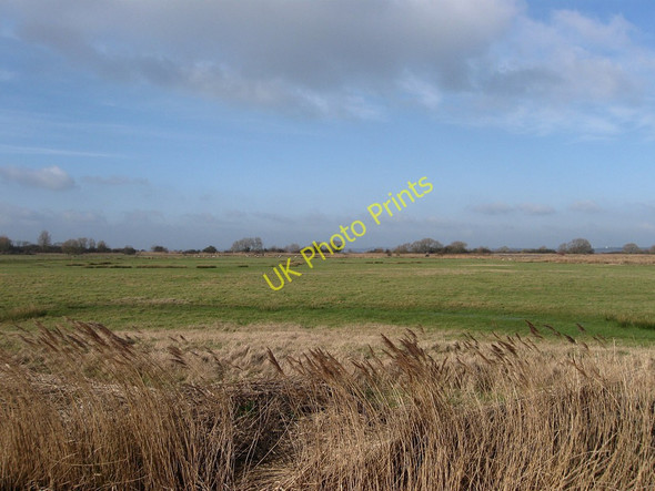 Photo 6"x4" Lower Marsh Pevensey Bay\/TQ6504 c2010