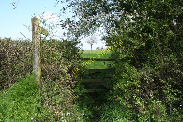 Photo 6"x4" West Buckland: footpath to Buckland Farm Budleigh c2006