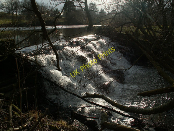 Photo 6"x4" Sunlight on the weir Raw Green c2010