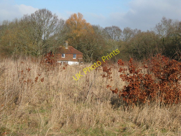 Photo 6"x4" Meadowsweet Cottage Streat c2010